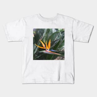 Bird of Paradise - colourful plant design Kids T-Shirt